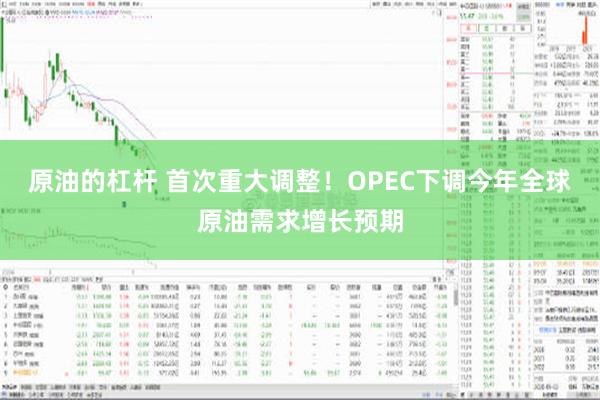 原油的杠杆 首次重大调整！OPEC下调今年全球原油需求增长预期