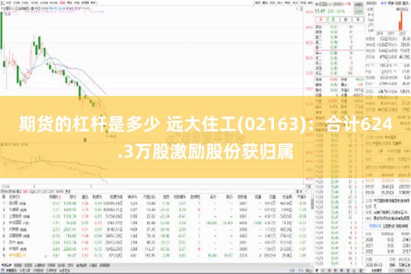 期货的杠杆是多少 远大住工(02163)：合计624.3万股激励股份获归属