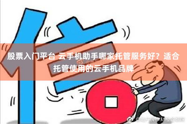 股票入门平台 云手机助手哪家托管服务好？适合托管使用的云手机品牌