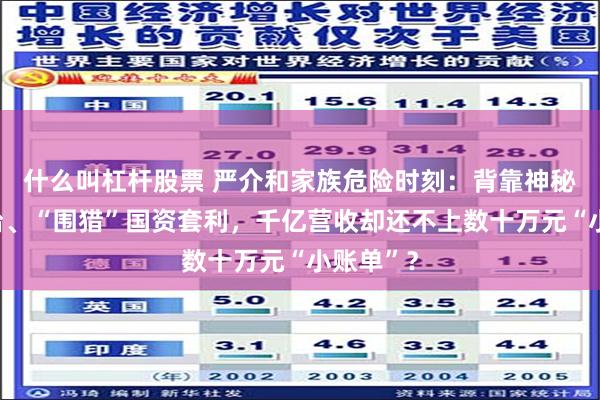 什么叫杠杆股票 严介和家族危险时刻：背靠神秘集资平台、“围猎”国资套利，千亿营收却还不上数十万元“小账单”？