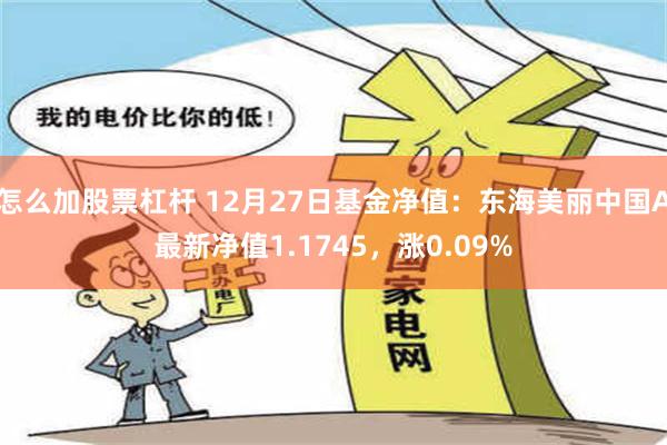 怎么加股票杠杆 12月27日基金净值：东海美丽中国A最新净值1.1745，涨0.09%