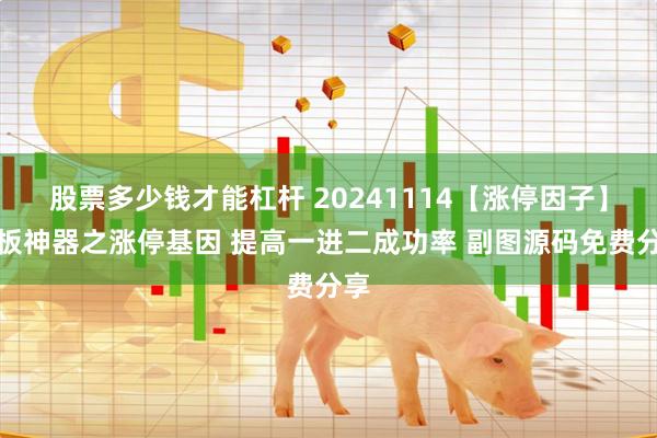 股票多少钱才能杠杆 20241114【涨停因子】打板神器之涨停基因 提高一进二成功率 副图源码免费分享