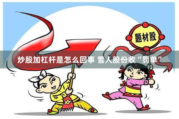 炒股加杠杆是怎么回事 雪人股份收“罚单”